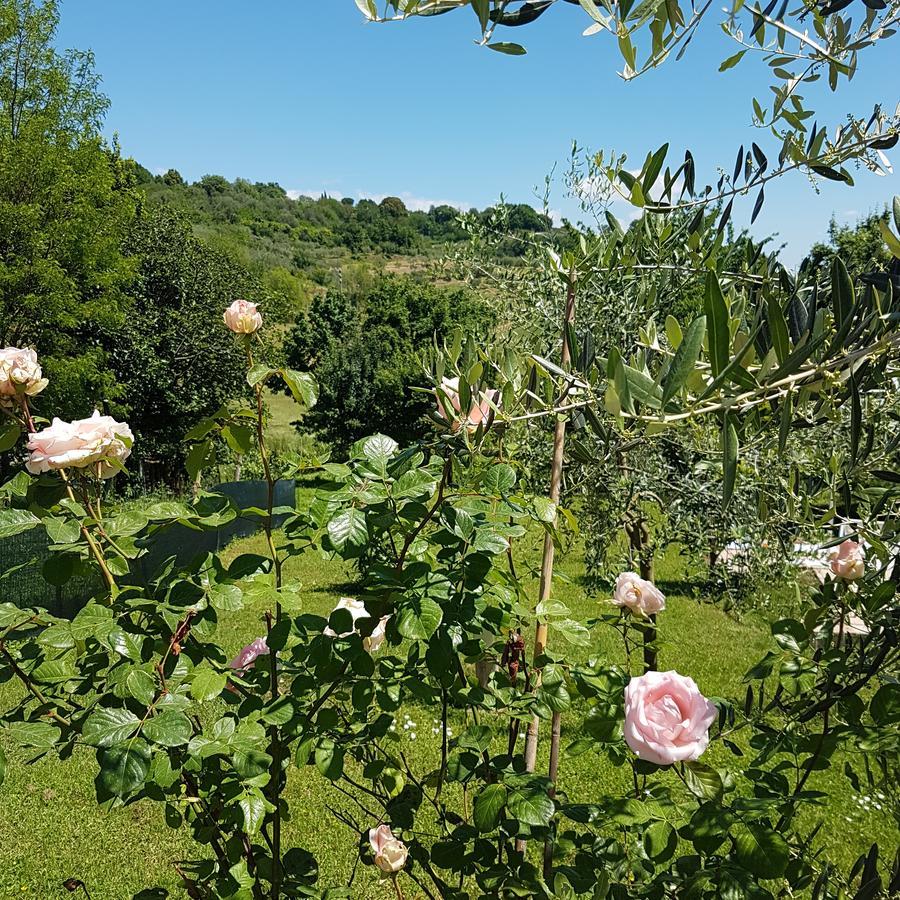 L'Albero Di Gameli Panzió Chiusi Kültér fotó