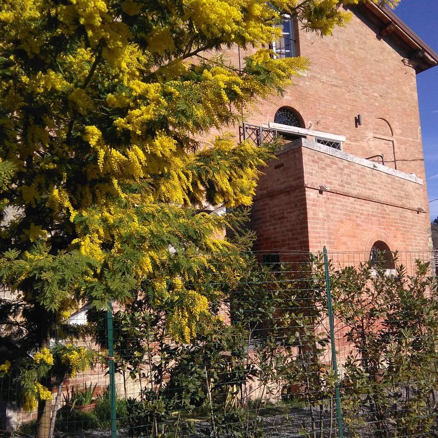 L'Albero Di Gameli Panzió Chiusi Kültér fotó