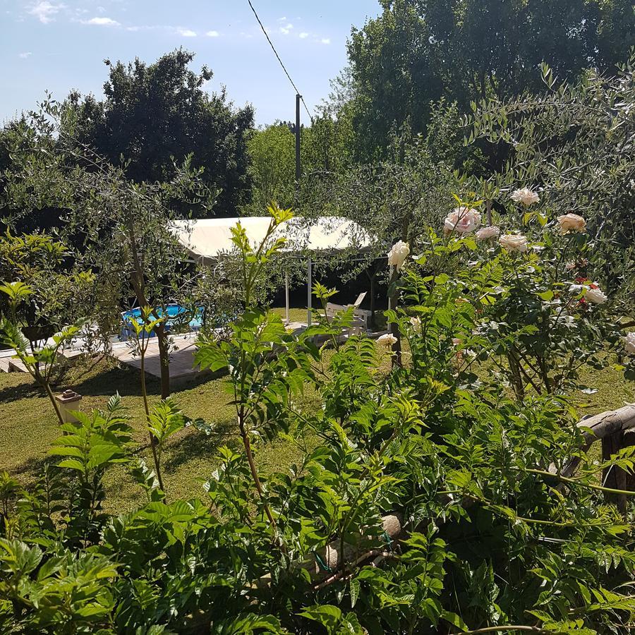 L'Albero Di Gameli Panzió Chiusi Kültér fotó